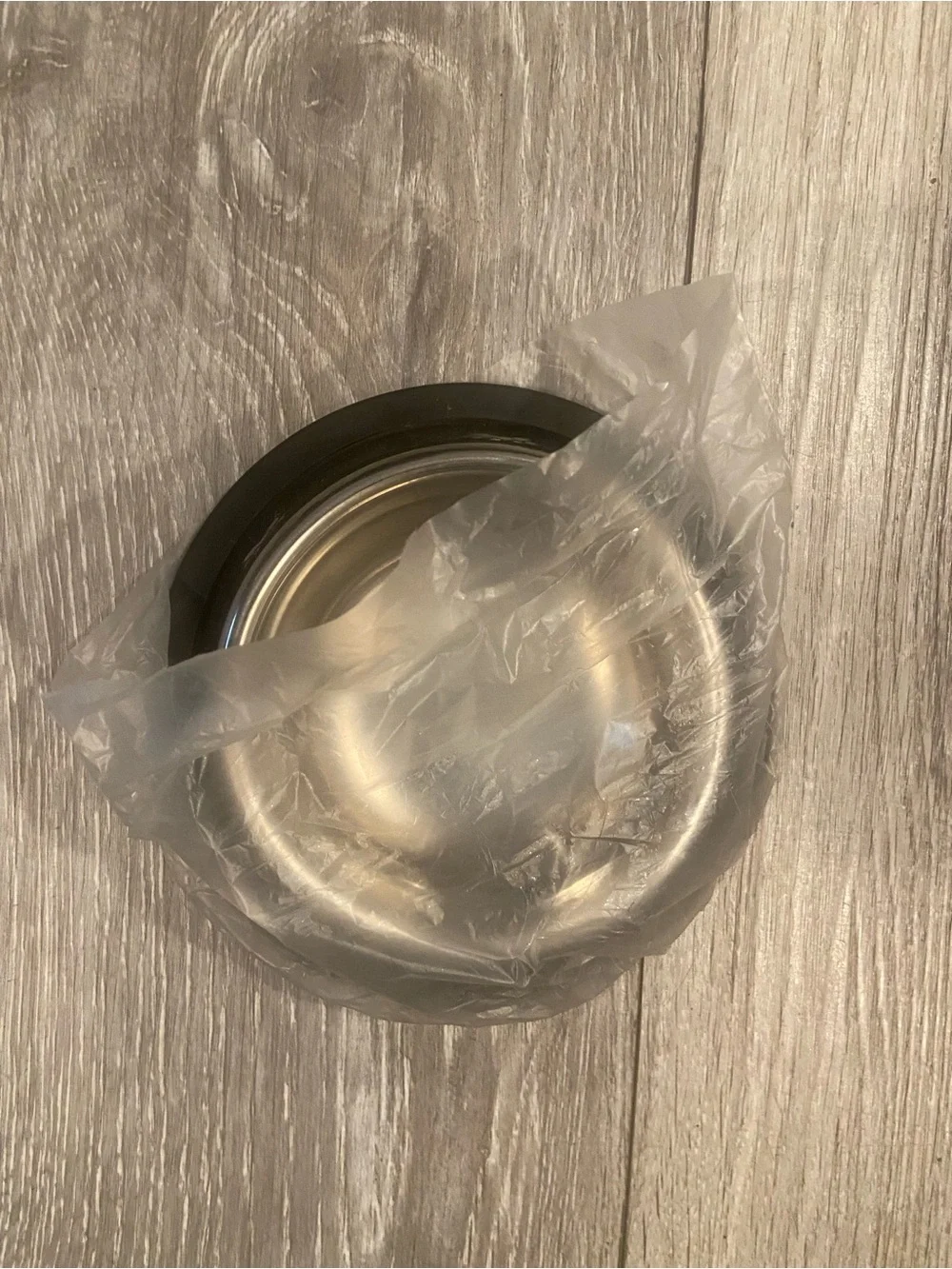 Stainless Steel Pet Bowl with Non-Slip Black Rim